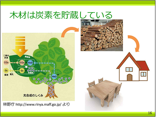 p16 木材は炭素を貯蔵している25%